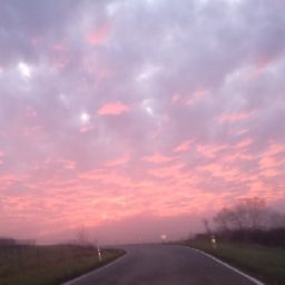 Vanessa Rauch Photo 2