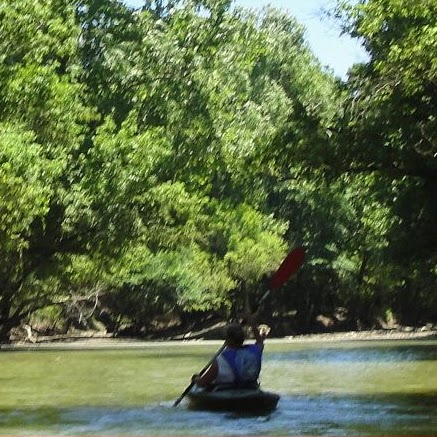 Diana Gibbs Photo 12