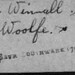 Ann Dalton Photo 27