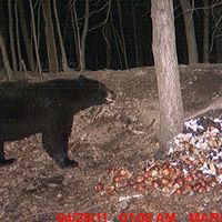 Martha Tanner Photo 9