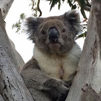 Catherine Green Photo 45