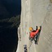Conrad Walls Photo 12
