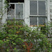 Cornelius Bush Photo 14