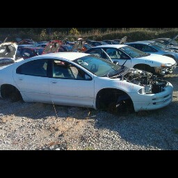 Christopher Martindale Photo 6