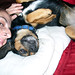 Kelly Hash Photo 19