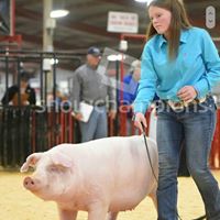 Denise Robison Photo 30