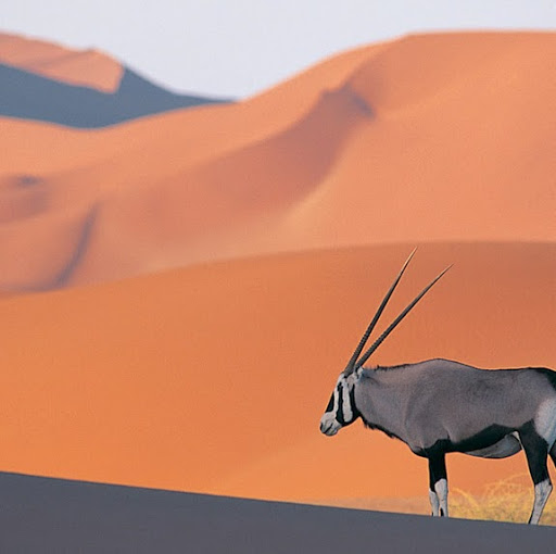 Lynette Brown Photo 34