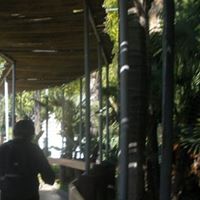 Raul Carrillo Photo 24 Raul Carrillo Photo 24