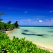 Carol Reef Photo 9