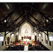 Grace White Photo 9