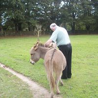 Terence Bryant Photo 9