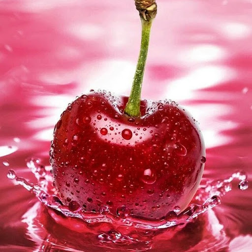 Brenda Thurman Photo 21