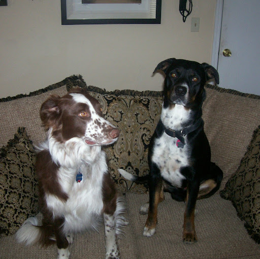 Theodore Field Photo 11