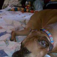 Jennifer Stinson Photo 26