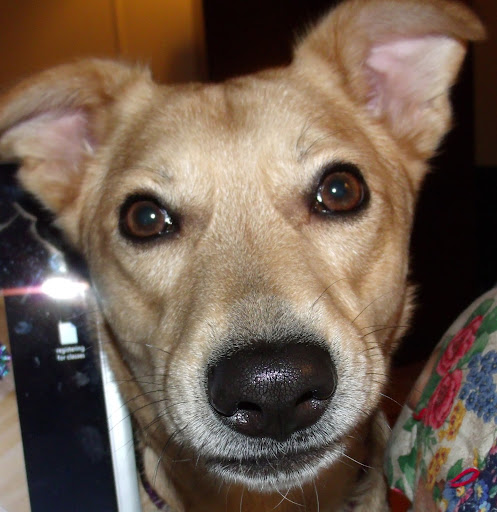 Laura Lockhart Photo 34