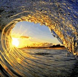 David Vaughan Photo 49