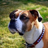 Michael Loomis Photo 3