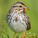 Craig Hendricks Photo 14