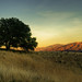 Ed Davis Photo 19