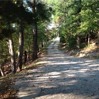 Janet Rowe Photo 25