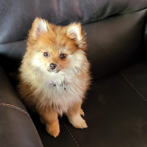 Teresa Keller Photo 27