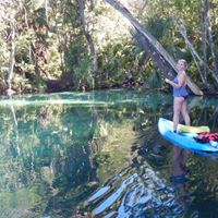 Susan Cunningham Photo 27