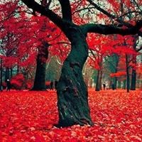 Michelle Wilder Photo 20