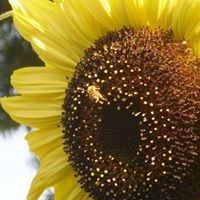 Mary Peltier Photo 34