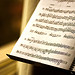 Lisa Shields Photo 34