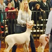 Jennifer Kessler Photo 25