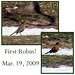 Ann Robin Photo 15