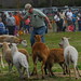 Donald Thomas Photo 27