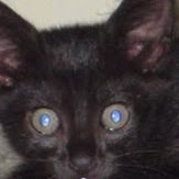 Sean Mccracken Photo 19