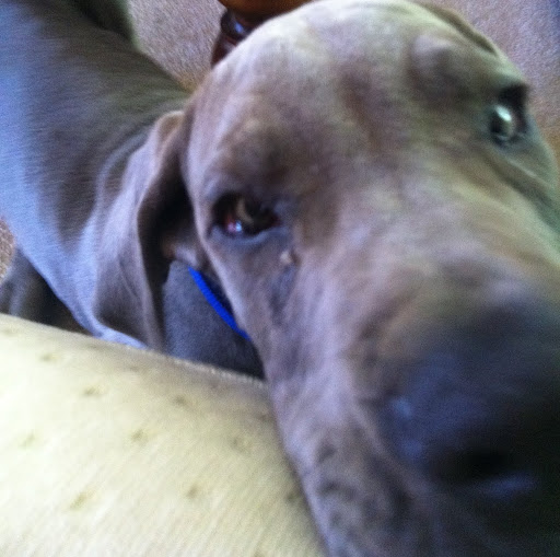 Jason Henderson Photo 7