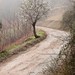 Andres Lozano Photo 25