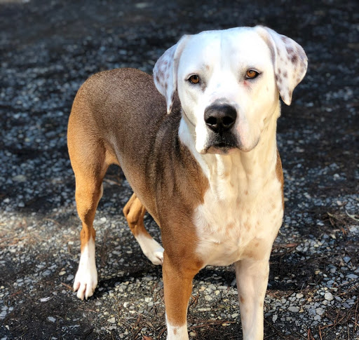 Victoria Hauser Photo 3