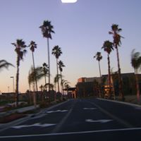 Jeffrey Hewitt Photo 14
