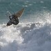 Bruce Waddell Photo 16
