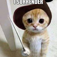 William Bittle Photo 1