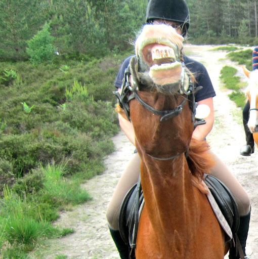 Lisa Cannon Photo 30