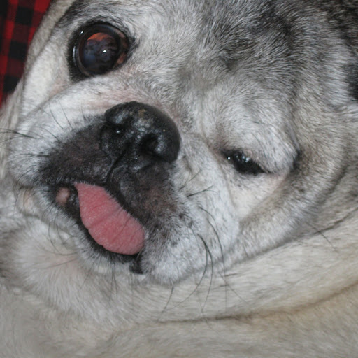 Doris Wright Photo 12