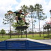 Bert Nelson Photo 27