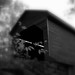 John Wissler Photo 16
