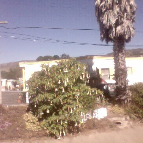 Elizabeth Hubbard Photo 22