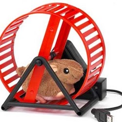 Richard Tesch Photo 9