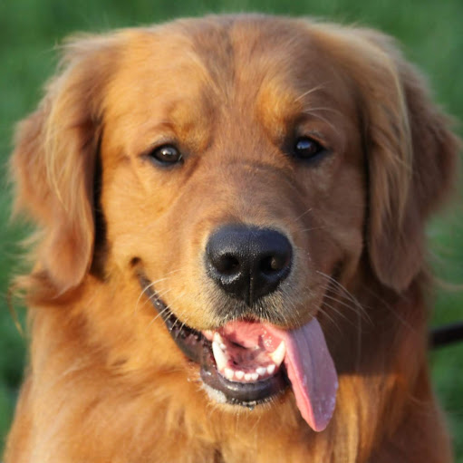 Warren Mccarty Photo 2