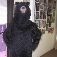 George Summers Photo 13 George Summers Photo 13