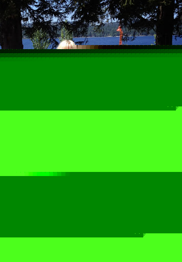 Vicki Henderson Photo 24