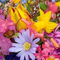 Debra Joiner Photo 11