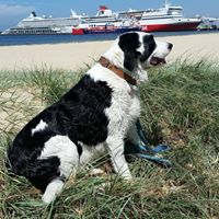 Gregory Nicholson Photo 16